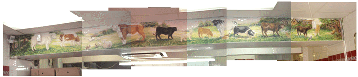 Hampsons mural by Margret Ryan