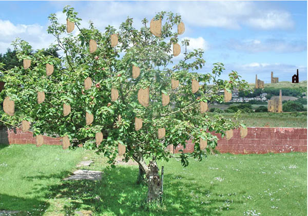 Pasty tree, Hayle, Cornwall