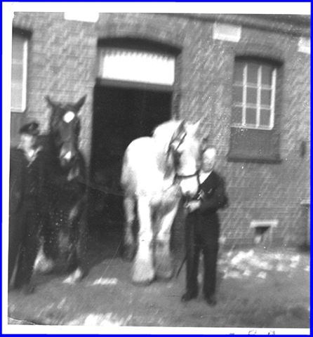 Father, Harry Davey, with the railway horses